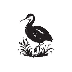 Jacana Bird Silhouette - Jacana Bird Illustration - Jacana Bird Vector.