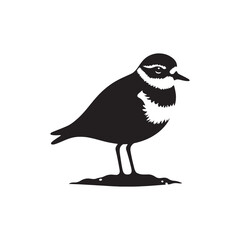 Plover Vector Silhouette - Plover Illustration - Plover bird Vector.
