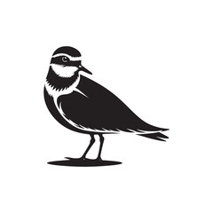 Plover Vector Silhouette - Plover Illustration - Plover bird Vector.