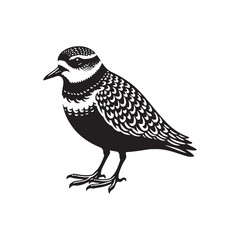 Plover Vector Silhouette - Plover Illustration - Plover bird Vector.