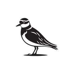 Plover Vector Silhouette - Plover Illustration - Plover bird Vector.