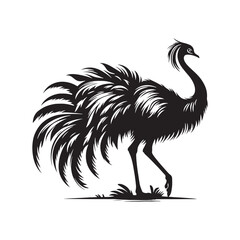 Rhea Vector Silhouette - Rhea Illustration - Bird Vector