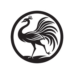 Rhea Vector Silhouette - Rhea Illustration - Bird Vector