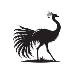 Rhea Vector Silhouette - Rhea Illustration - Bird Vector