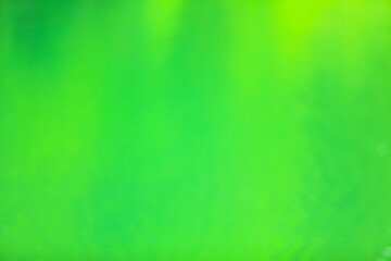 池の水面に映る森林の緑