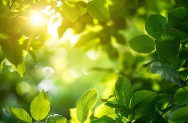 Close-up sunlight filters through the lush green foliage, creating an enchanting and serene atmosphere
