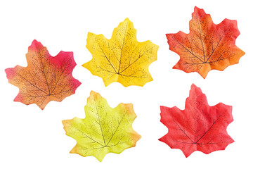 Artificial maple leaves, autumn, fall concept. Set of 5 colors. Isolated on PNG transparent background. Graphic resource.