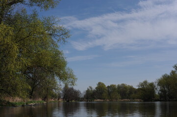 Landscape with fresh green trees on a sunny day with blue sky with Pilica river in spring in Mazowsze region, Poland, Europe
