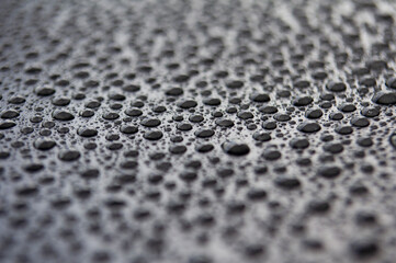 Close up of water drops on dark background