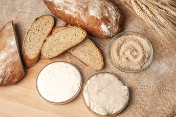 Sourdough, dry yeast and sourdough in petri dishes and dark bread cut into pieces and a whole loaf...
