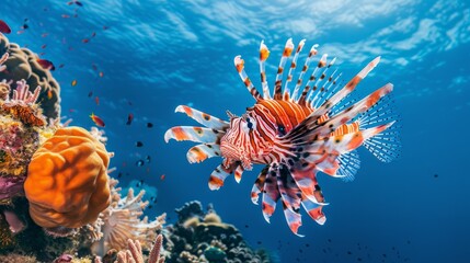 Majestic Lionfish with Dramatic Fins in Vibrant Underwater Scene