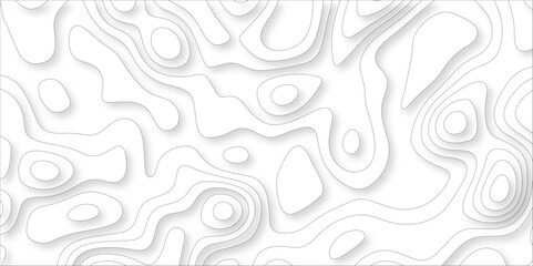 Abstract wavy line 3d paper cut white background with shadows. Abstract realistic papercut decoration textured with wavy layers. Topographic contour lines vector map seamless pattern vector.