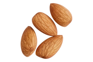 Fresh almond isolated on transparent background