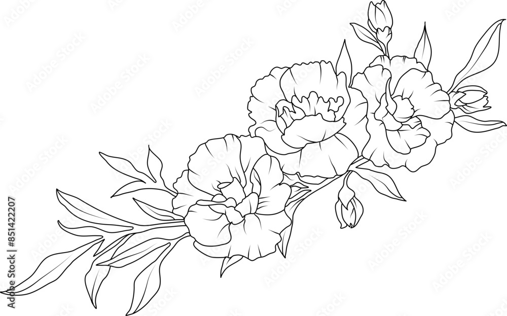 Wall mural Carnation flowers line art illustration