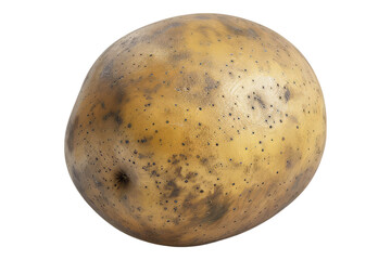 Fresh potato isolated on transparent background