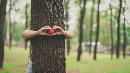 Girl hugs a tree and holds a red heart with sunlight shining over her shoulder. Concept. Protect nature. bright morning environmental protection environmental sustainability and world environment day