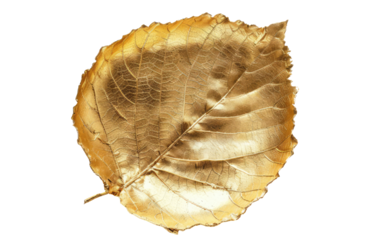 Glistening gold leaf isolated on transparent background