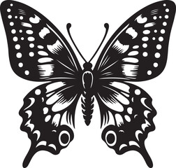 nice butterfly vector art illustration
