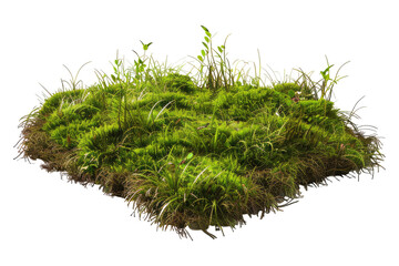 Green mose with grass growing isolated on transparent background