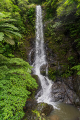奄美大島　加計呂麻島　嘉入の滝