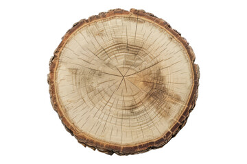 Fototapeta premium Tree slice circle sign isolated on transparent background
