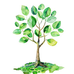 The watercolor painting of a tree with green leaves on a white background.