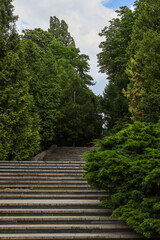 Steps in a park. Stairs in the park. Nature. 