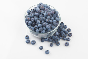  A shrub of the azalea family. The fruit is light blue or black in color and has white powder on the outside.
