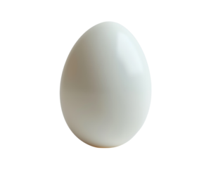 egg isolated on white background