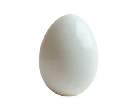 egg isolated on white background