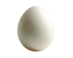 egg isolated on white background