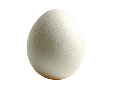 egg isolated on white background