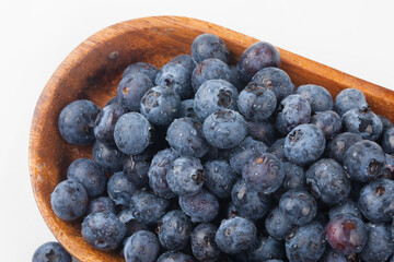  A shrub of the azalea family. The fruit is light blue or black in color and has white powder on the outside.
