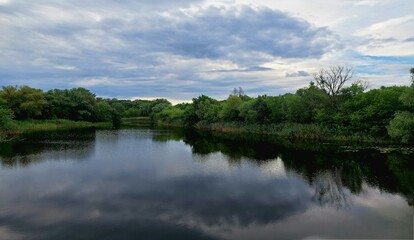 River backwater beside green trees over it