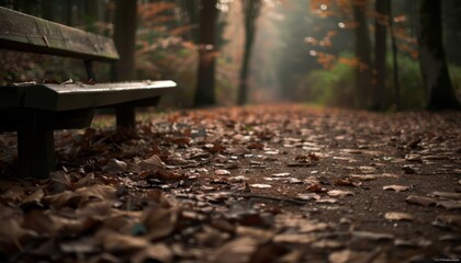 Naklejka premium Serene park bench on a leaf-covered path in an autumn forest with warm, soft sunlight filtering through the trees.