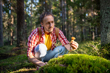 Pleased man picking Xerocomus mushroom while walking in woods. Mushroom picker middle-aged male in...