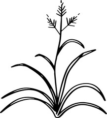 cute cartoon plant drawing.