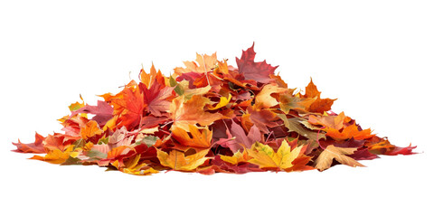 A pile of autumn colorful maple leaves isolated on a white background