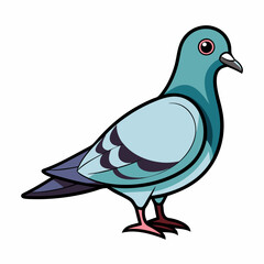 pigeon color bird vector silhouette illustration svg file

