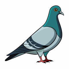 pigeon color bird vector silhouette illustration svg file
