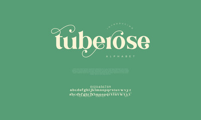 Tuberose premium luxury elegant alphabet letters and numbers. Vintage wedding typography classic serif font decorative vintage retro. creative vector illustration