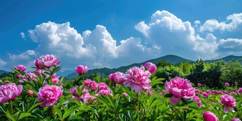 Obraz premium On the edge of Xihu in Hangzhou, there is a rural cottage