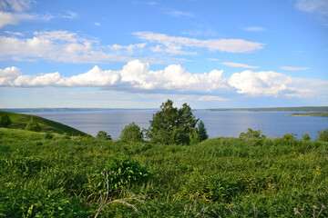 Fototapeta premium a lake with a tree on the horizon and clouds in the background