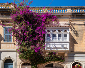 Beautiful traditional house wall with purple flowers and white balcony in Malta.