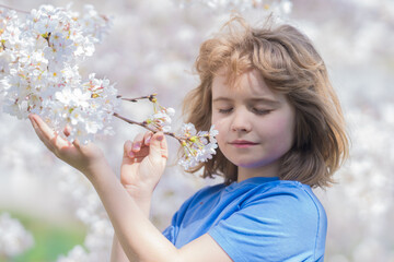 Naklejka premium Little kid smelling spring flower outdoor. Portrait of smiling child face near blossom spring flowers. Kid among branches of spring tree in blossoms. Cute kids face surrounded by spring blossom
