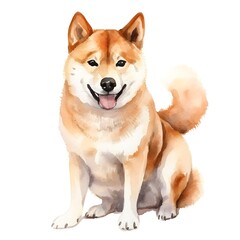 Adorable Shiba Inu Dog Breed Watercolor Portrait on White Background