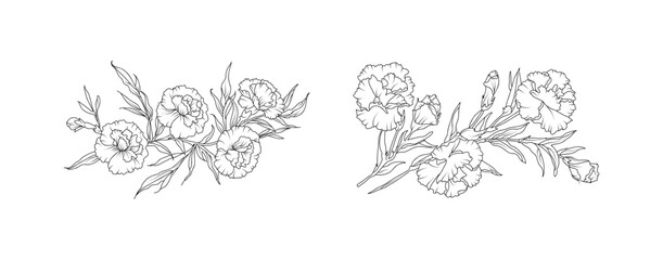 Carnation flower arrangement line art on white background. Silhouette botanical hand drawn element for wedding, invitation frame design, vector illustration
