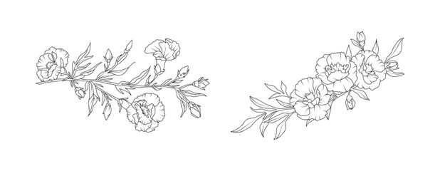 Carnation flower arrangement line art on white background. Silhouette botanical hand drawn element for wedding, invitation frame design, vector illustration