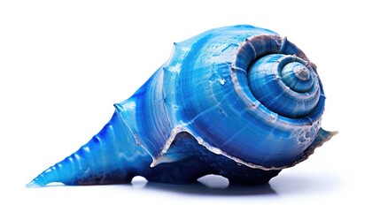 Blue shell background