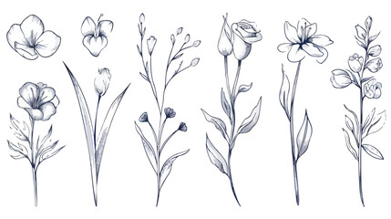 Set botanical hand drawn vector element. Collection o